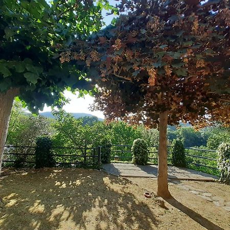 Villa Le Palmine 팔라쪼네 외부 사진