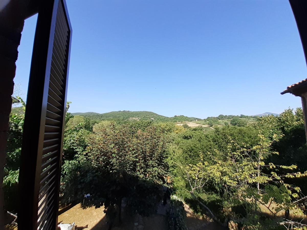 Villa Le Palmine 팔라쪼네 외부 사진