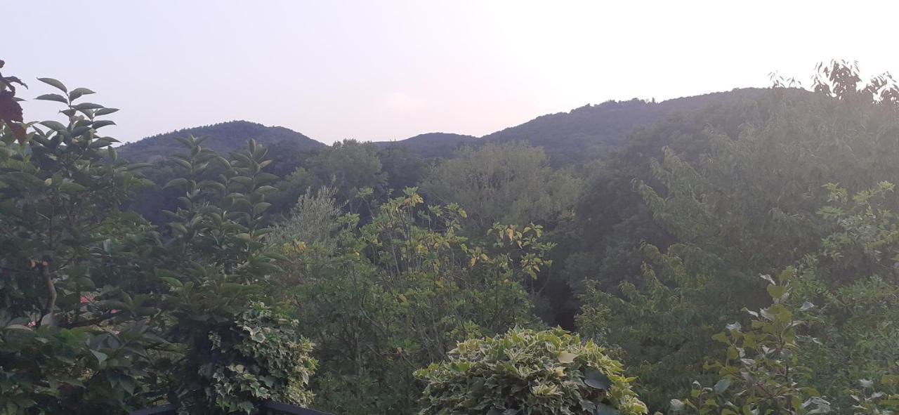 Villa Le Palmine 팔라쪼네 외부 사진