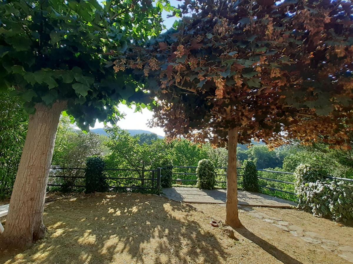 Villa Le Palmine 팔라쪼네 외부 사진