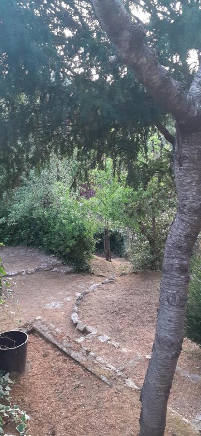 Villa Le Palmine 팔라쪼네 외부 사진