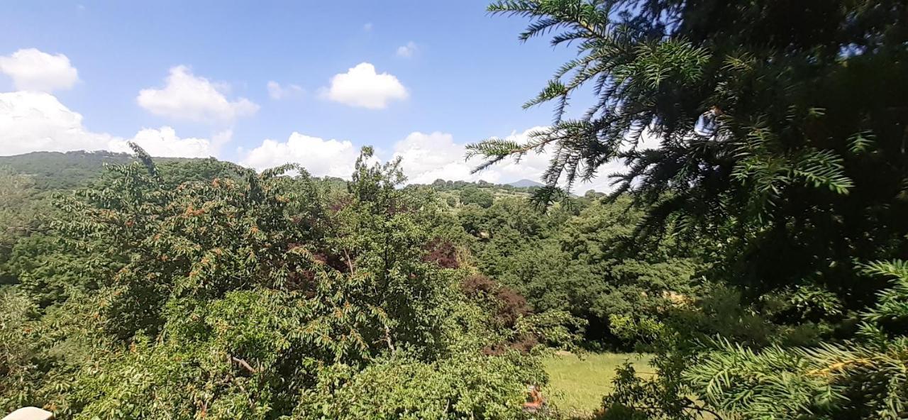 Villa Le Palmine 팔라쪼네 외부 사진