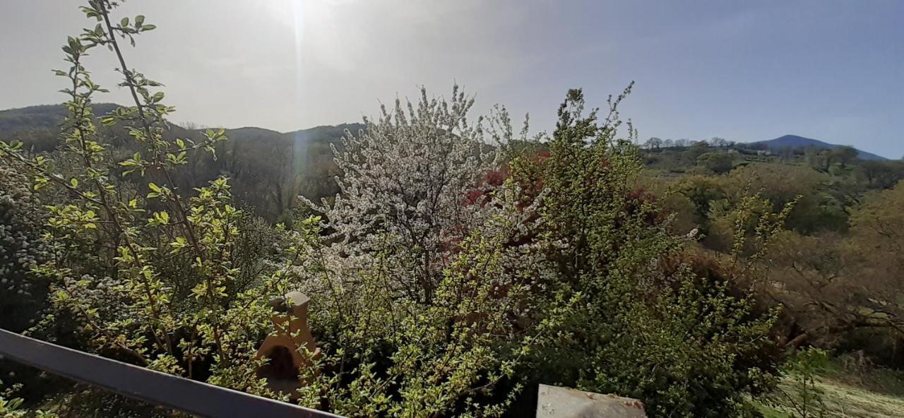 Villa Le Palmine 팔라쪼네 외부 사진