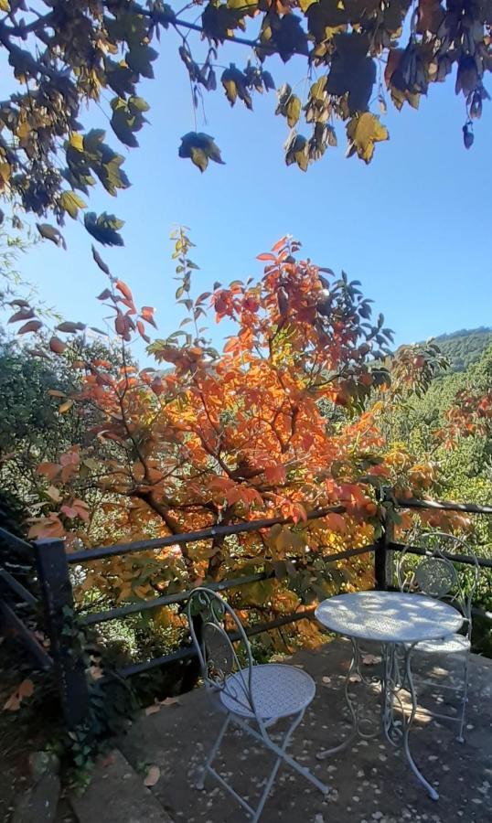 Villa Le Palmine 팔라쪼네 외부 사진